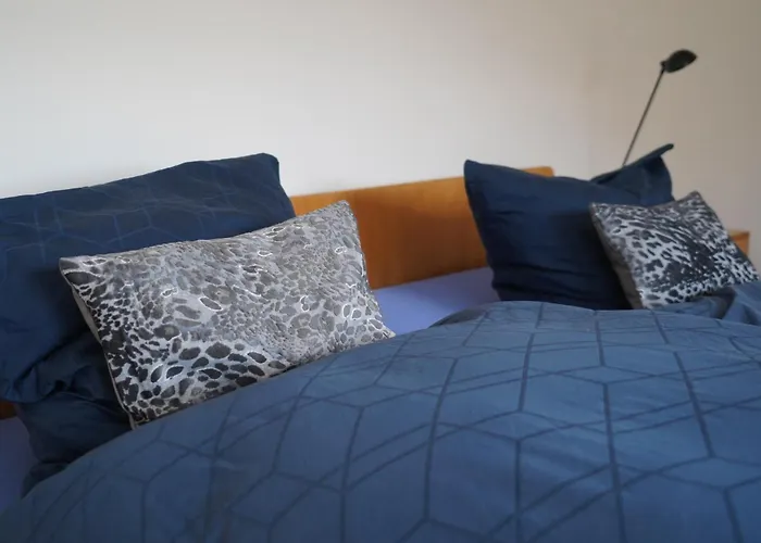 In Der Region Appartement